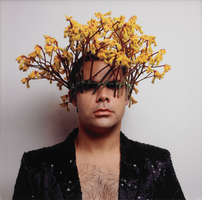Photograph, Christian THOMPSON, Untitled (yellow kangaroo paw), 2008