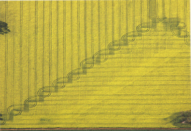 Photograph, Melissa POWELL, Earth weave, 2007