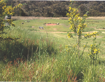Photograph, Steven RHALL, Former site of circus (Dja Dja Wurrung, Castlemaine), 2012