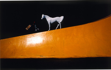 Photograph, Jesse MARLOW, White horse, 2006, 2014