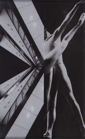 Photograph, Zoë CROGGON, Untitled #6, 2012