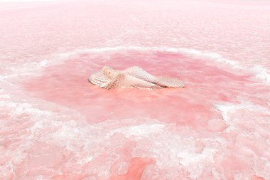 Photograph, Honey LONG and Prue STENT, Salt pool, 2018