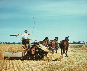 Photograph, Con KROKER, Hay harvest, 1950