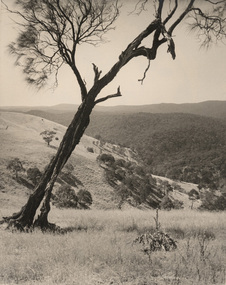 Photograph, Con KROKER, Hill country, 1957