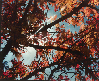 Photograph, Con KROKER, Autumn, 1981