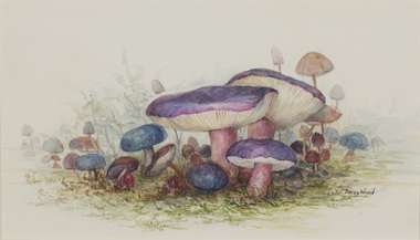 Painting, Daisy WOODS, Toadstools, n.d