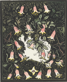 Print, Irena SIBLEY, Fuschias, n.d