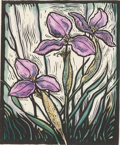 Print, Irena SIBLEY, Irises, n.d