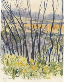 Painting, Elspeth VAUGHAN, Afternoon light, Flinders Island, 1984
