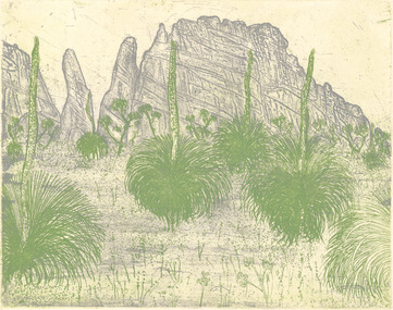 Print, John QUINN, Grass trees: Grampians, 1997