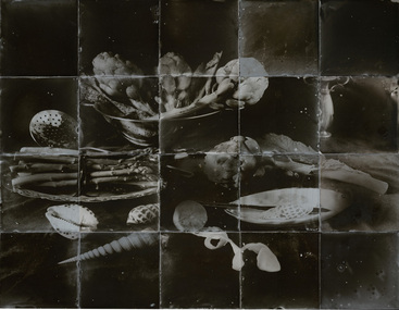 Photograph, Ewa NARKIEWICZ, Asparagus and artichokes, 1996