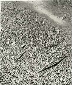 Photograph, John CATO, Lake debris, 1991