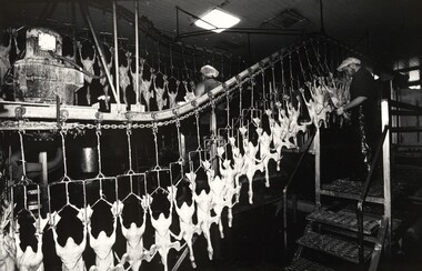 Photograph, John IMMIG, Luv-a-Duck, Nhill, 2003