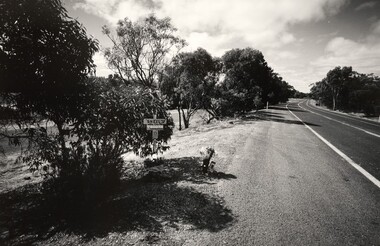 Photograph, John IMMIG, Roadside memorial, near Horsham, 2003