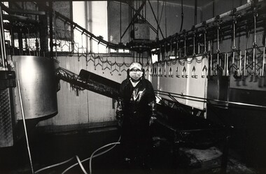 Photograph, John IMMIG, Luv-a-Duck, Nhill, 2003