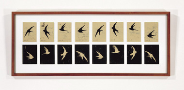 Print, Anthony PELCHEN, Swallows, 1997-2005