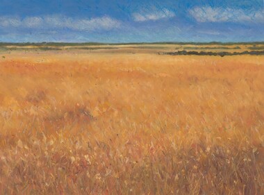 Painting, Jenni MITCHELL, Wimmera wheatfields, 1994