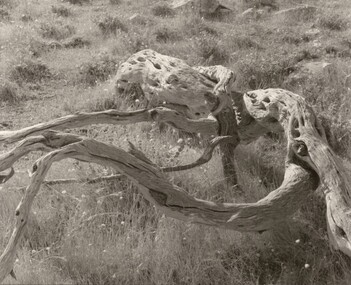 Photograph, Con KROKER, Sculpture, n.d