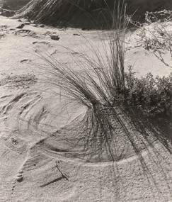 Photograph, Con KROKER, Sand dune study, n.d