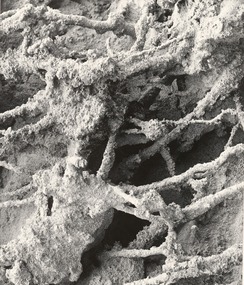 Photograph, Con KROKER, Limestone texture, n.d