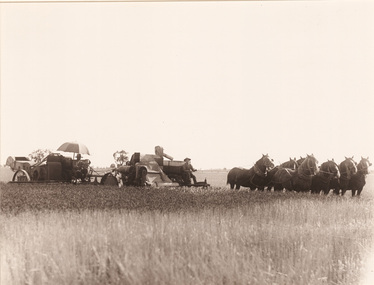 Photograph, Samuel George CAHILL, Tractor and eight horse team, n.d