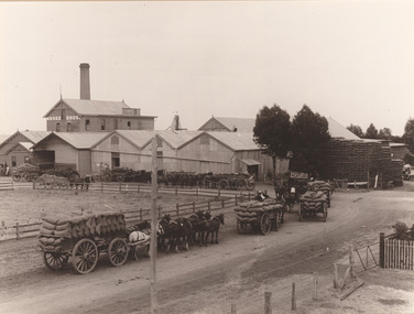 Photograph, Samuel George CAHILL, Wheat arriving at the mill, 1920