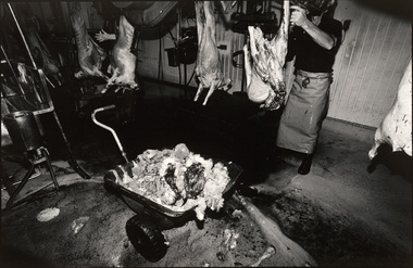 Photograph, John IMMIG, Afghan Hazari refugees, Burrangong Meat Processors, Young, New South Wales, 2002