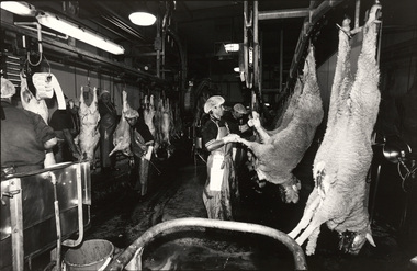 Photograph, John IMMIG, Afghan Hazari refugees, Burrangong Meat Processors, Young, New South Wales, 2002