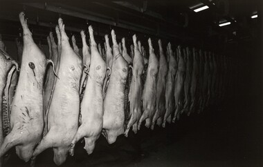 Photograph, John IMMIG, Burrangong Meat Processors, Young, New South Wales, 2002