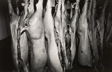 Photograph, John IMMIG, Burrangong Meat Processors, Young, New South Wales, 2002