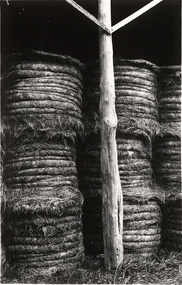 Photograph, Barry GILLARD, Hay bales, Lake Macquarie, 2003