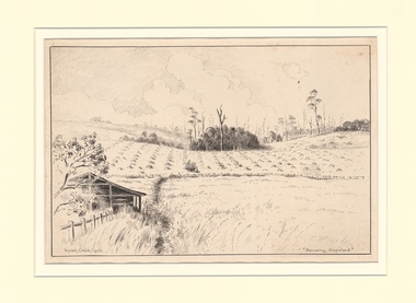 Drawing, COBB, Victor, Harvesting Gippsland, 1922