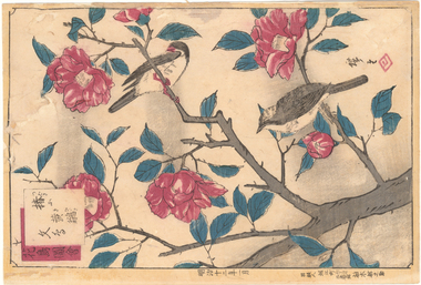 Print, HIROSHIGE, Utagawa, Camellia and Yellow Birds