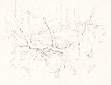 Drawing, TONKIN, Mary. Born 1973, Melbourne, Australia, Fork, Kalorama, 2010