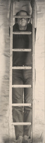 Photograph, THORP, David, Wood Lines, 1981-2