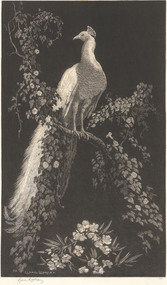 Print, LINDSAY, Lionel  b. 1874 Creswick, Victoria  d. 1961, Morning Glory, Not dated