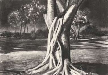 Drawing, WRAY, Jennifer, #27 Tree trunk, 1998
