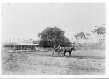 Photograph (Item), Malmsbury Dispensary Dr Davy's, Malmsbury ca1989