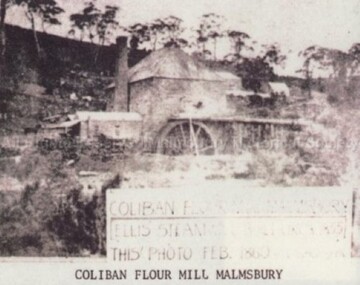Photograph (Item), B/W Photo Of Ellis' Coliban Flour Mill Malmsbury C1860, Malmsbury