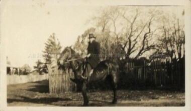 Photograph (Item), B/W Hughie Brereton On A Horse, Malmsbury