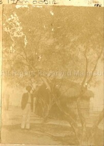 Photograph (Item), B/W Godfrey William Ellis At Coolgardie?, Malmsbury c1900
