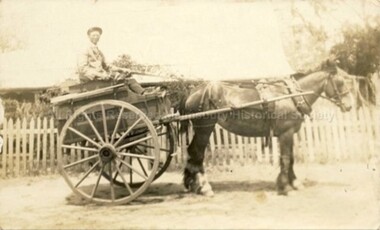 Photograph (Item), Percy Clark Of Malmsbury And His Butchers Cart, Malmsbury ca1930s