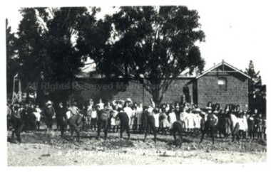 Photograph (Item), Tree Planting Day At Malmsbury Stateschool C1900, Malmsbury c1900