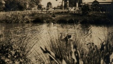 Photograph (Item), "Queenscliffe Cemetry, Where Granny Crowe Is Buried", Malmsbury