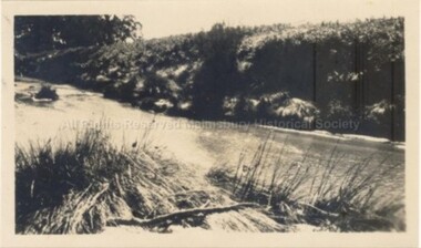 Photograph (Item), View Of Coliban(?) River (Near Ellis Falls?) At Malmsbury, Malmsbury c1920