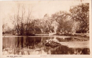 Postcard (Item), "Postcard Malmsbury Botanical Gardens, Rose Series P4671", Malmsbury c1927