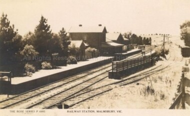 Postcard (Item), "Postcard Malmsbury Railway Station, Rose Series P4995", Malmsbury c1920
