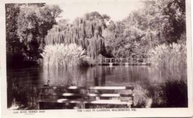 Postcard (Item), "Postcard Lake In Malmsbury Gardens, Rose Series P4840", Malmsbury c1927
