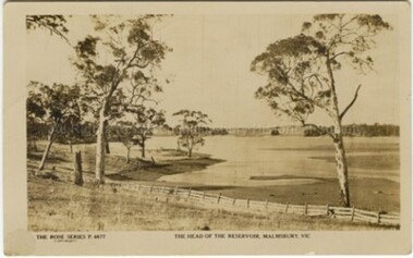 Postcard (Item), "Postcard Head Of The Reservoir Malmsbury, Rose Series P4677", Malmsbury c1927