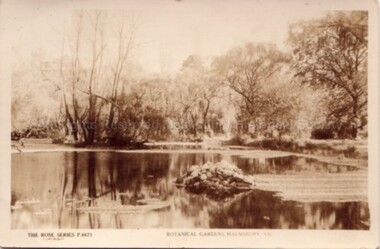 Postcard (Item), Postcard Botanical Gardens Malmsbury Rose Series P4671, Malmsbury c1927
